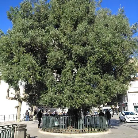 Διαμέρισμα A Casa Rosa- Atico En El Centro De