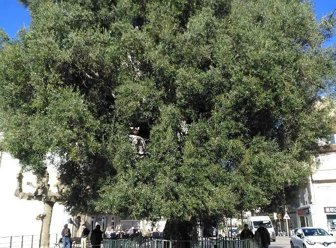 Διαμέρισμα A Casa Rosa- Atico En El Centro De